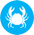 crustaceos